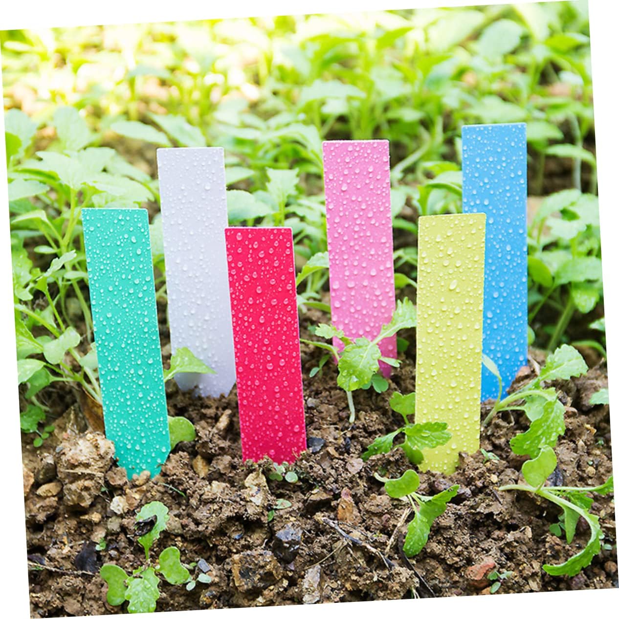 Etiquettes Jardin Label_Garden"i" Identification Organiqation Efficace Discrète Design (x30) - French Gardenn